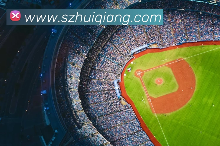 开云官方登陆入口发展历程